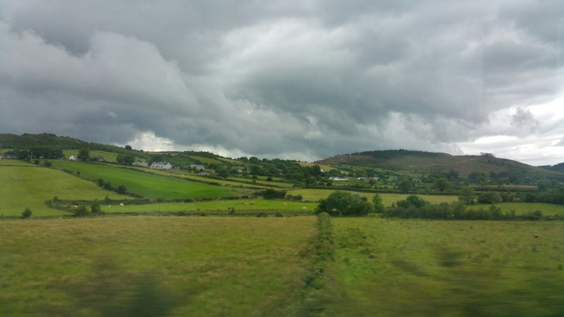 I snapped this pic from the train to Belfast from Dublin this summer. The countryside is so delicious. 
