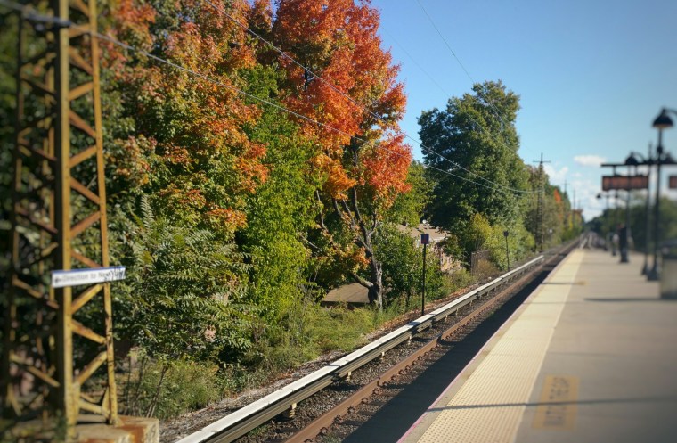 IMG_20151018_111122.jpg image