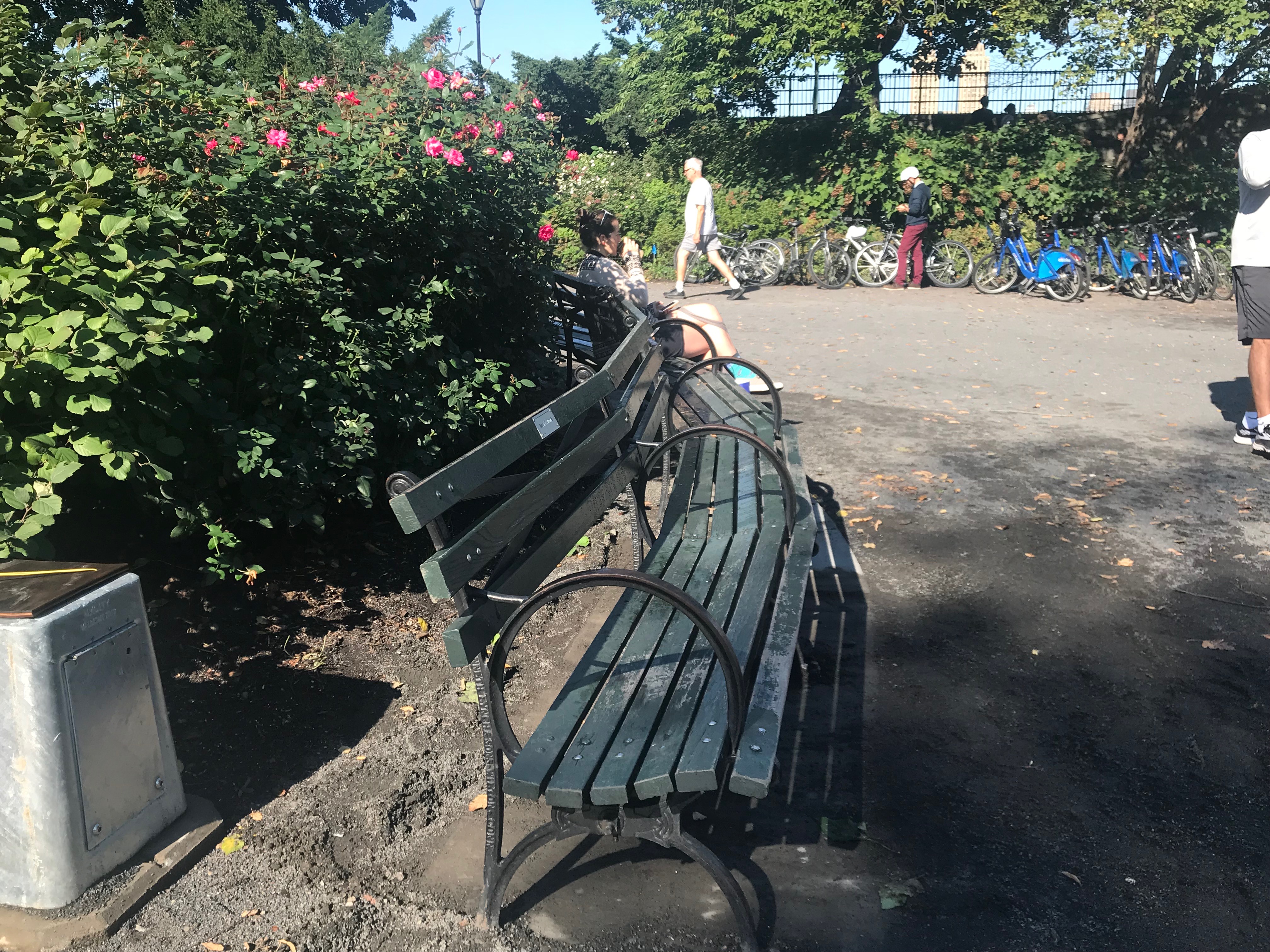 Reservoir park bench